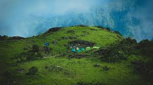 Vagamon Sightseeing & Departure